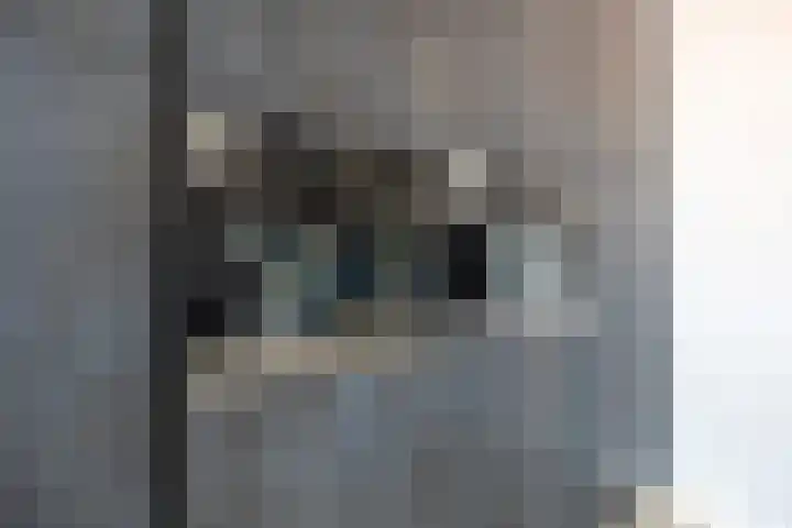 de Weide 41 Lopik thumbnail 11