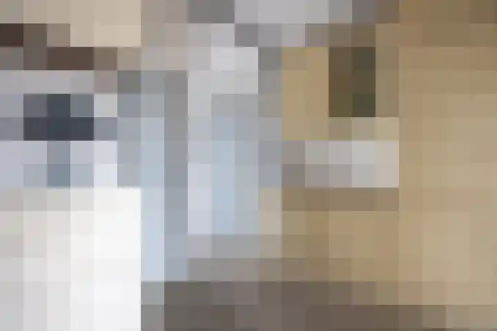 de Weide 41 Lopik thumbnail 14