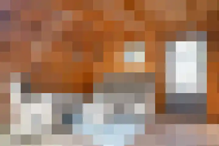 de Weide 41 Lopik thumbnail 22
