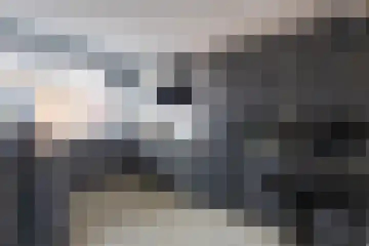 de Weide 41 Lopik foto 3