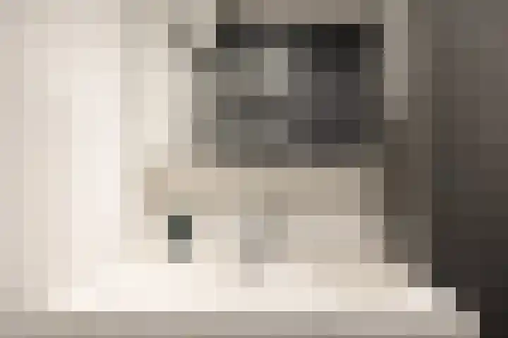de Weide 41 Lopik thumbnail 34
