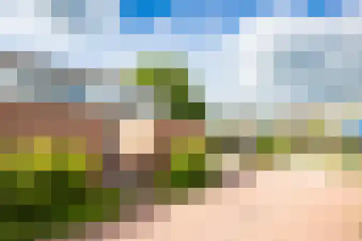 de Weide 41 Lopik thumbnail 44