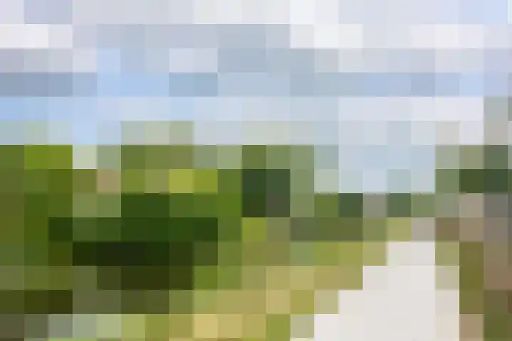 de Weide 41 Lopik thumbnail 45
