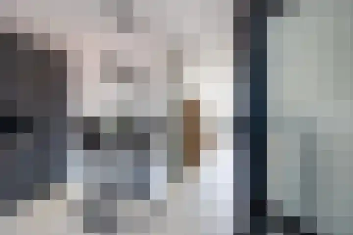 de Weide 41 Lopik thumbnail 8