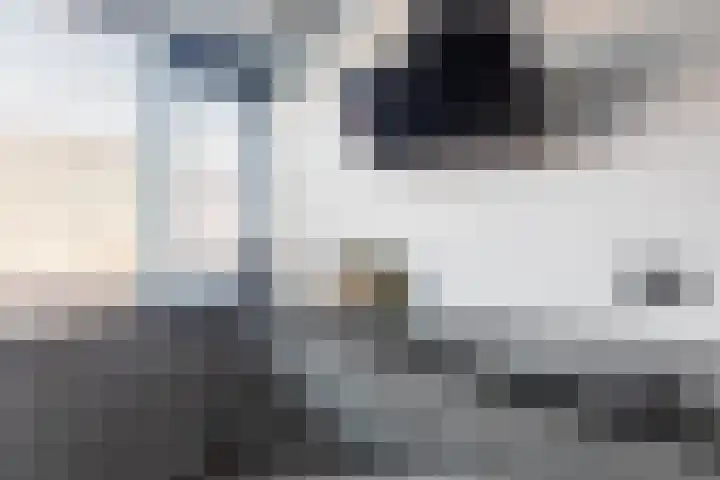 de Weide 41 Lopik thumbnail 9