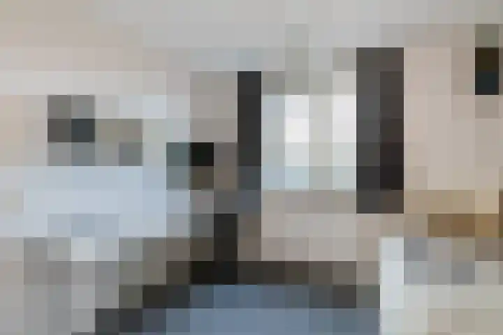 De Weide 42 Houten thumbnail 25
