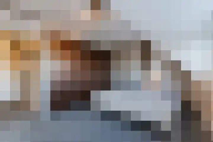 De Weide 42 Houten thumbnail 28
