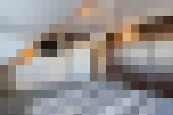De Weide 42 Houten thumbnail 30