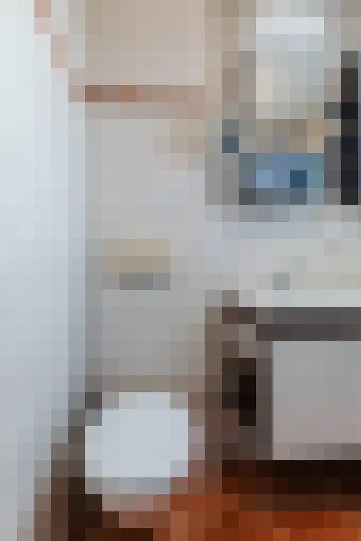 De Weide 42 Houten thumbnail 35