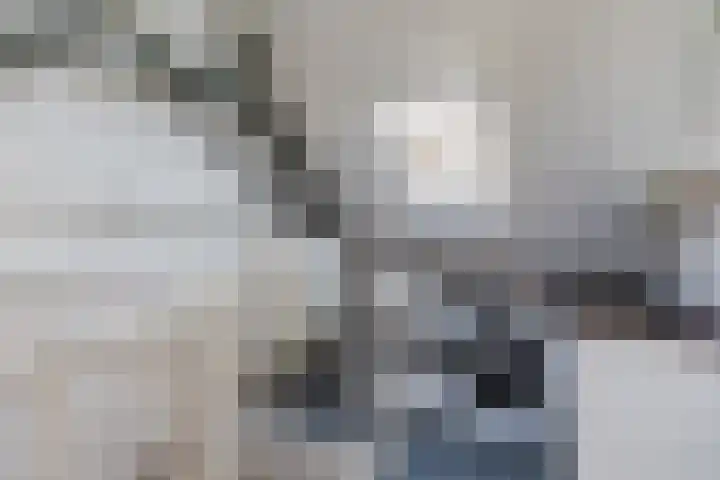De Weide 42 Houten thumbnail 39