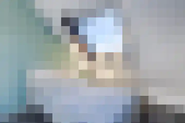 De Weide 42 Houten thumbnail 44