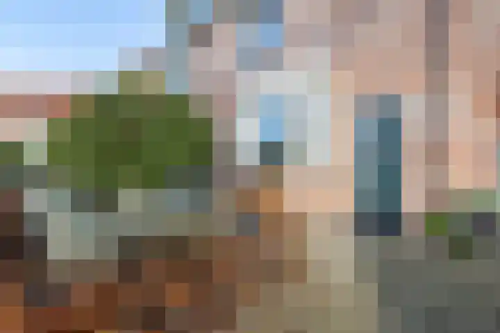 De Weide 42 Houten thumbnail 6