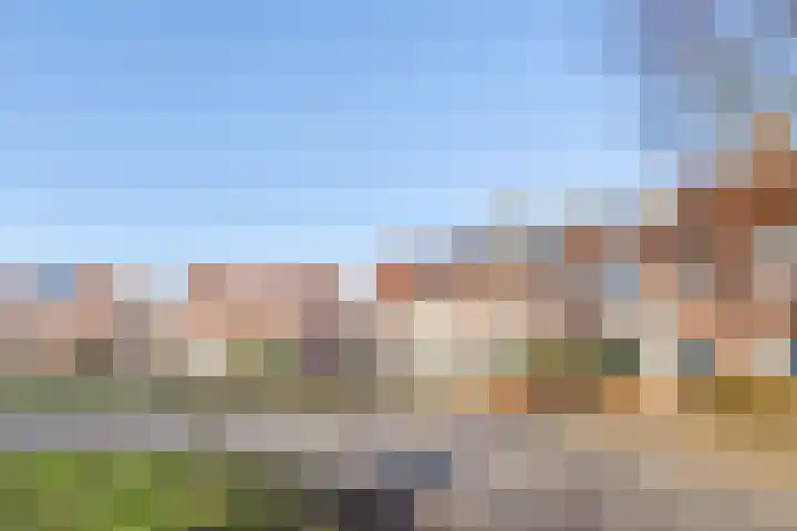 De Weide 42 Houten thumbnail 66