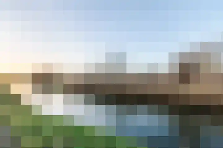De Weide 42 Houten thumbnail 70