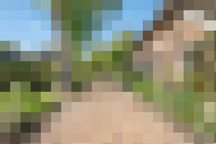 De Weijert 2 a Dwingeloo thumbnail 13