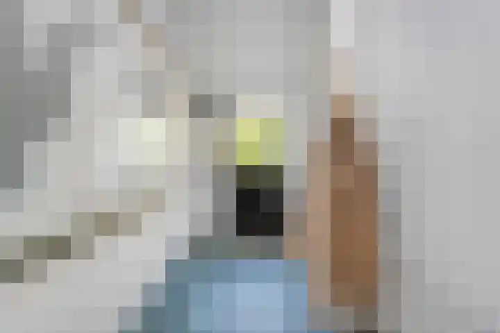 De Weijert 2 a Dwingeloo thumbnail 15