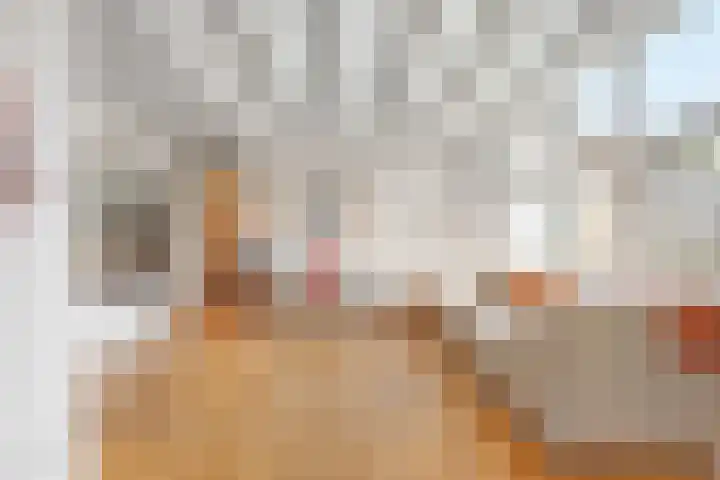 De Weijert 2 a Dwingeloo thumbnail 17