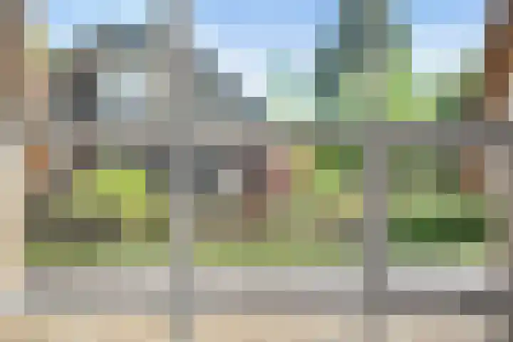 De Weijert 2 a Dwingeloo thumbnail 18
