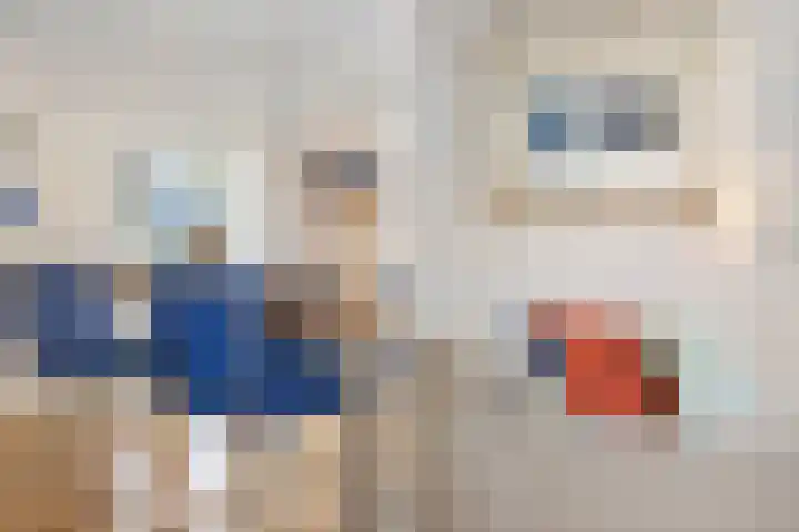 De Weijert 2 a Dwingeloo thumbnail 19