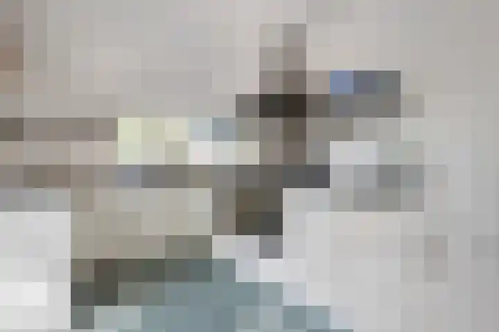De Weijert 2 a Dwingeloo thumbnail 23