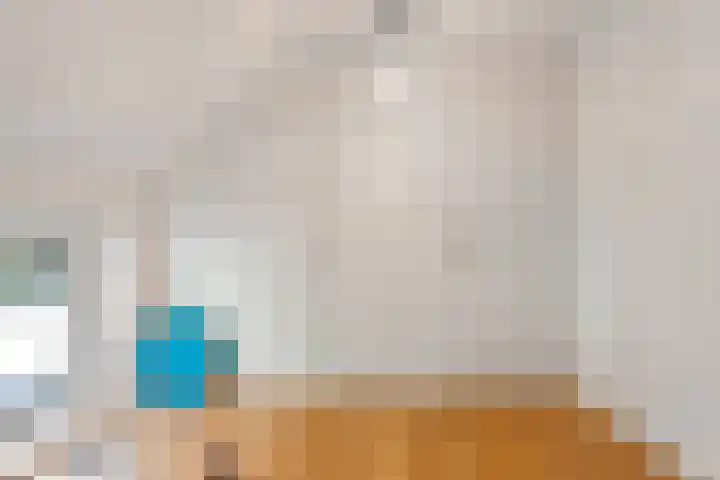De Weijert 2 a Dwingeloo thumbnail 31