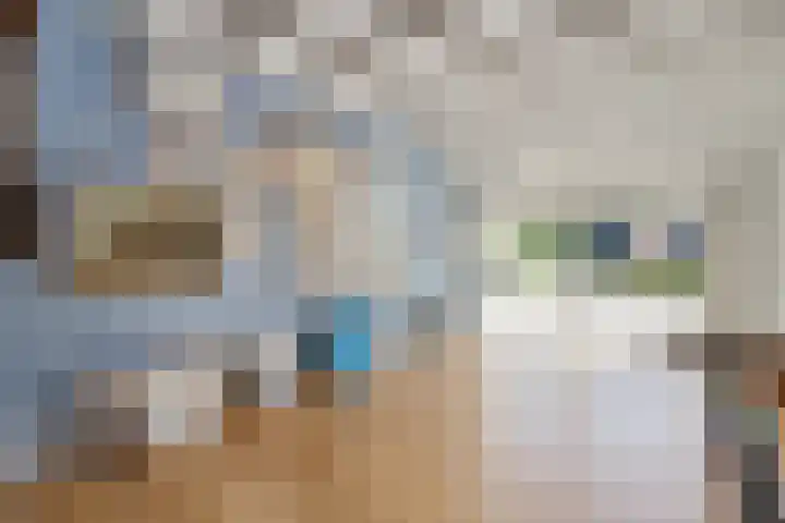 De Weijert 2 a Dwingeloo thumbnail 35