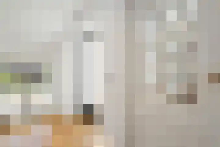 De Weijert 2 a Dwingeloo thumbnail 36