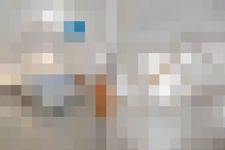 De Weijert 2 a Dwingeloo thumbnail 47