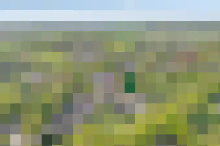 De Weijert 2 a Dwingeloo thumbnail 5