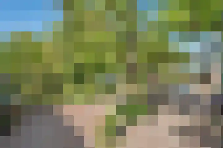 De Weijert 2 a Dwingeloo thumbnail 54