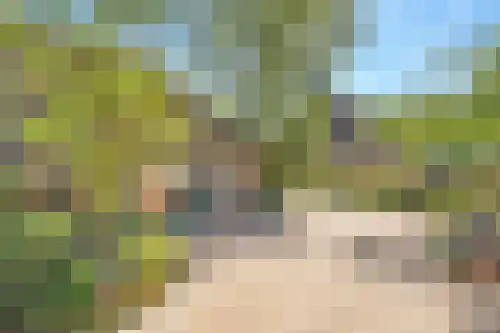 De Weijert 2 a Dwingeloo thumbnail 56