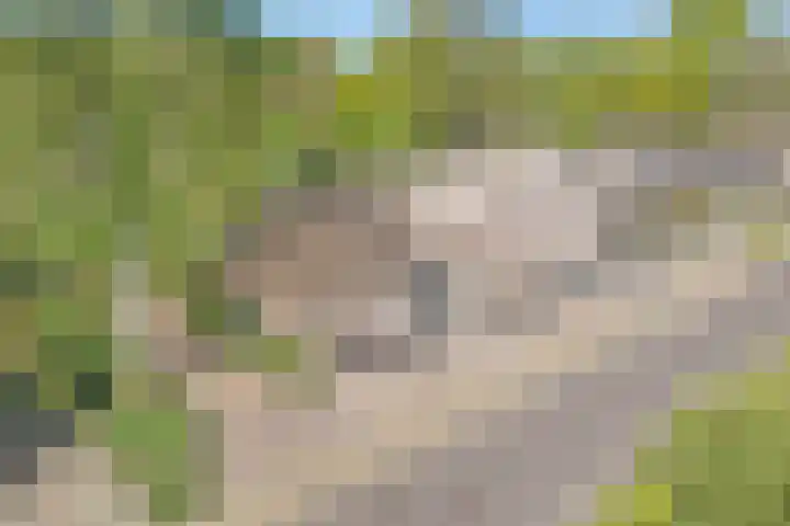 De Weijert 2 a Dwingeloo thumbnail 6