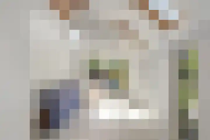 De Weijert 2 a Dwingeloo thumbnail 60