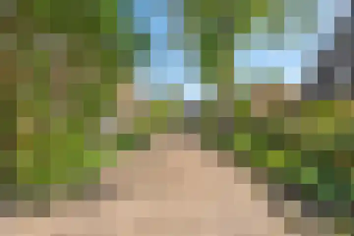 De Weijert 2 a Dwingeloo thumbnail 63