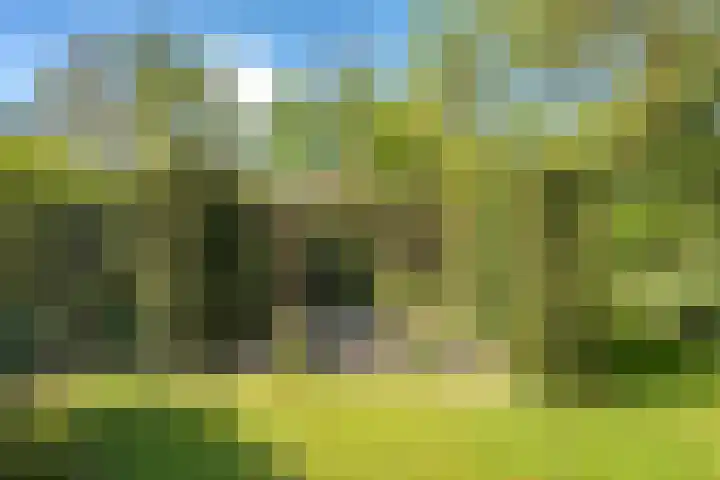 De Weijert 2 a Dwingeloo thumbnail 66