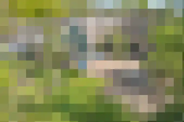 De Weijert 2 a Dwingeloo thumbnail 70