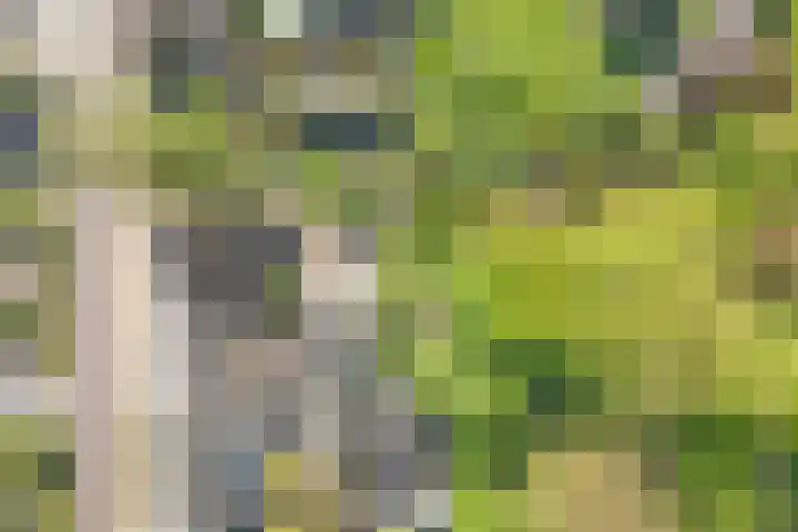De Weijert 2 a Dwingeloo thumbnail 71