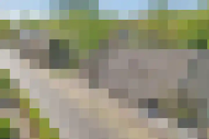 De Weijert 2 a Dwingeloo thumbnail 8