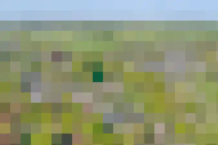 De Weijert 2 a Dwingeloo thumbnail 9