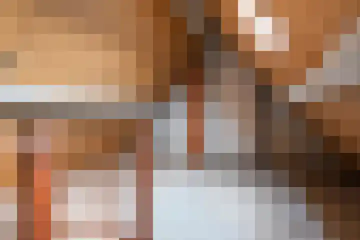 De Weinmakker 7 Wergea thumbnail 25