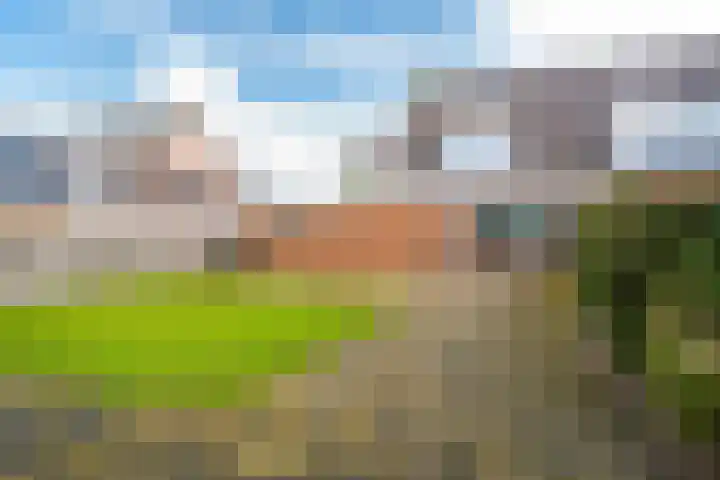 De Weinmakker 7 Wergea thumbnail 31