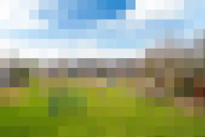 De Weinmakker 7 Wergea thumbnail 33
