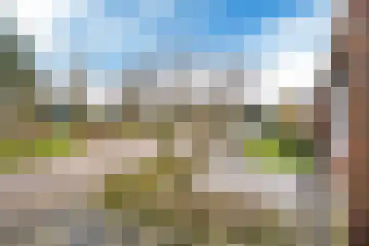 De Weinmakker 7 Wergea thumbnail 35
