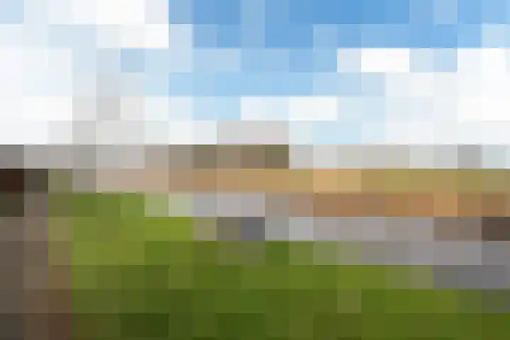 De Weinmakker 7 Wergea thumbnail 39