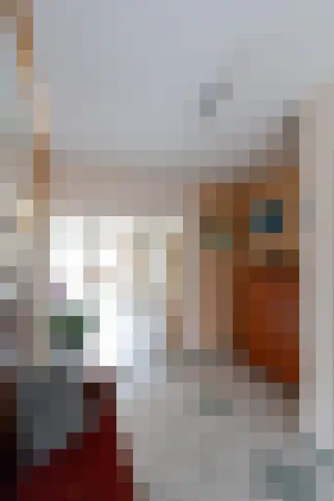 De Weitas 2 Tollebeek thumbnail 14