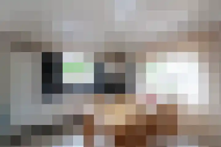 De Weitas 2 Tollebeek thumbnail 15