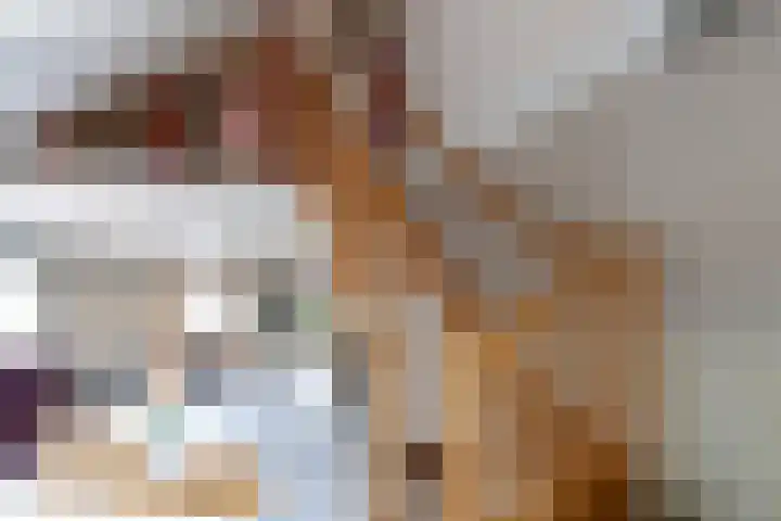 De Weitas 2 Tollebeek thumbnail 17