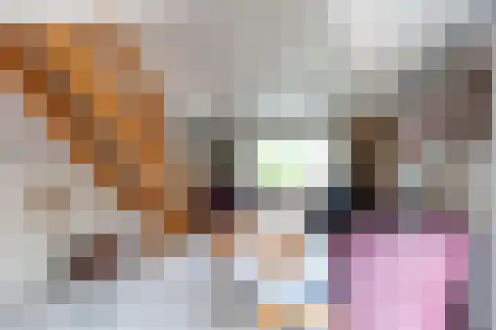 De Weitas 2 Tollebeek thumbnail 18