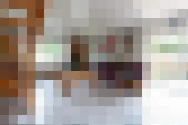 De Weitas 2 Tollebeek thumbnail 19