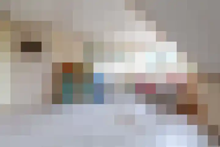 De Weitas 2 Tollebeek thumbnail 22